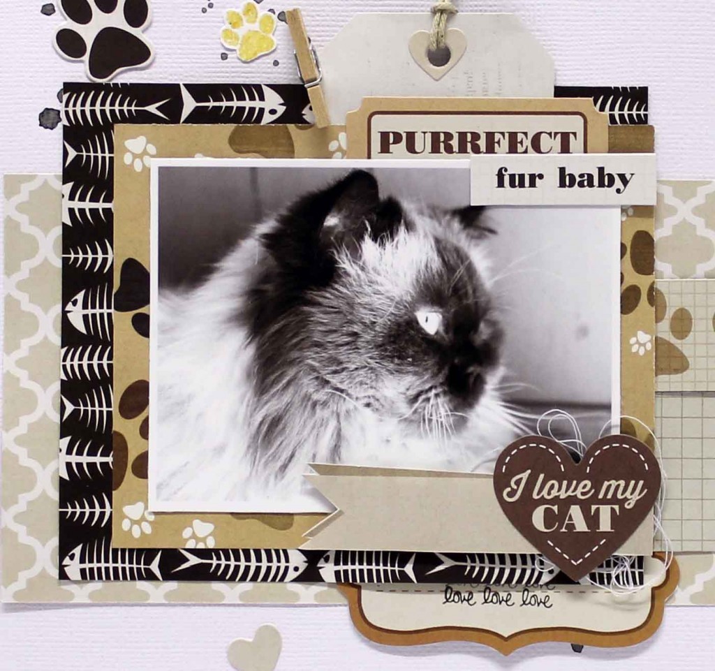 Stamp & Scrapbook EXPO