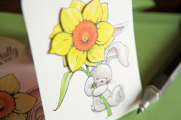Stamp & Scrapbook EXPO