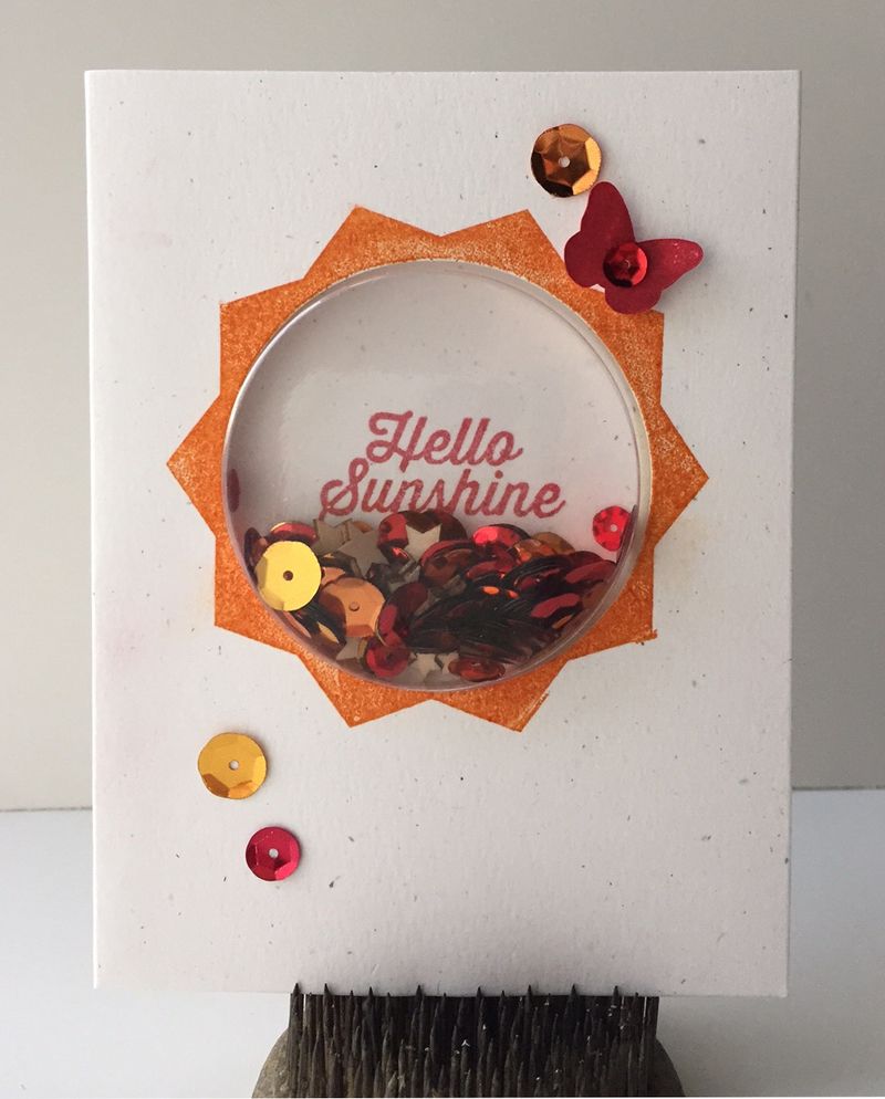 Hello Sunshine Shaker card by Jillibean Soup