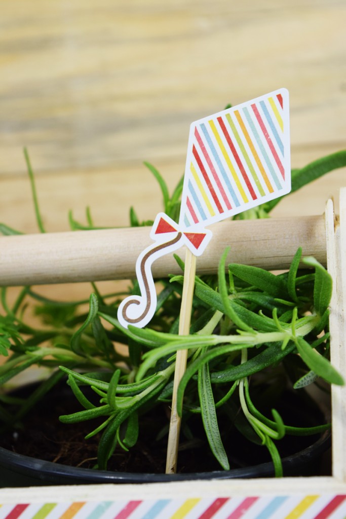 Stamp & Scrapbook EXPO