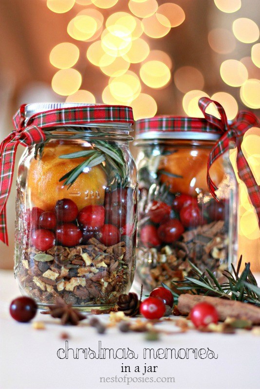 CHRISTMAS IN A JAR – MULLING SPICES