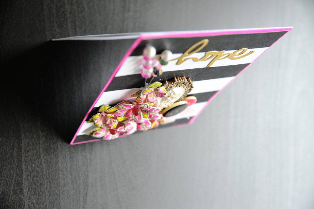 Stamp & Scrapbook EXPO