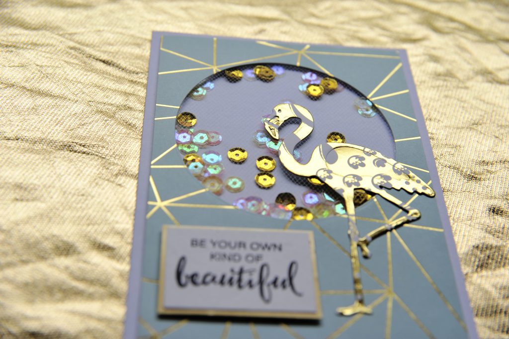 Stamp & Scrapbook EXPO