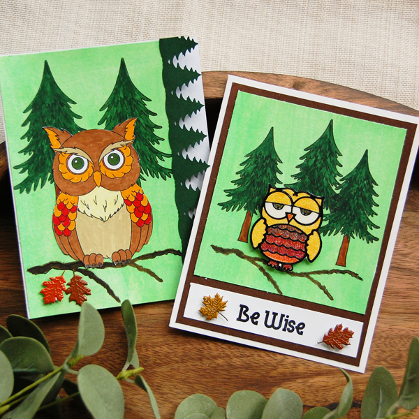_An Owlsome Card Duo